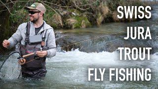 Fly Fishing Trout In Swiss Jura