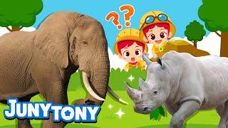 The Biggest Land Animals | Elephant vs. Rhino | Animal Songs for Kids | Nursery Rhymes | JunyTony