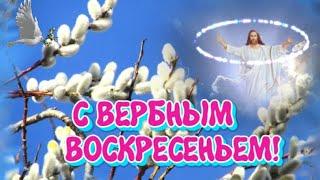 С Вербным Воскресеньем поздравляю! Очень красивое музыкальное  поздравление на Вербное Воскресенье