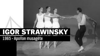 Stravinsky: Apollon musagète (1965) | New York City Ballet | NDR Elbphilharmonie Orchestra