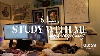 6 HOURS | STUDY/WORK WITH ME & MY CATS | Background Noise + Fireplace | 50/10 Pomodoro