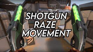 What 1000 hours of Shotgun raze movement looks like