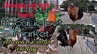 Dumagsa ang mga buyers, Bocaue pet market march 14 2025 Friday .