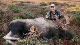 Exciting Moose Hunt in Northern Newfoundland | Canada in the Rough