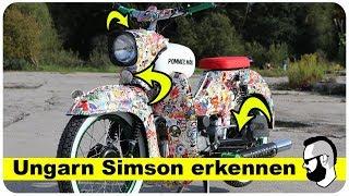 Ungarn Simson erkennen (und warum das wichtig ist!)