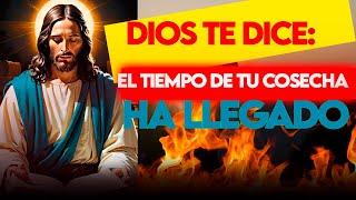 Hola!  El tiempo de tu cosecha ha llegado ¡NO TE VAYAS DE LA TIERRA SIN SABER EL PROPÓSITO DE DIOS