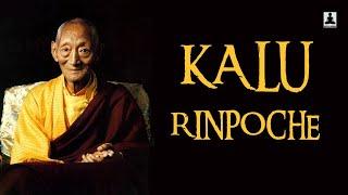 The short biography of Kalu Rinpoche