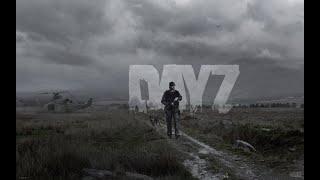 DayZ ist das BESTE Survival Game