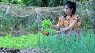 Healthy Green Leaves Lettuce with Beef Recipe - Fresh Lettuce recipe cooking by countryside life TV.