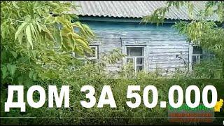 КАК КУПИТЬ ДОМ В ДЕРЕВНЕ за 50 тыс. Руб. обзор дома.Недорогие дома