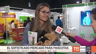 El sofisticado mercado de las mascotas en Chile