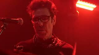 STARCAT feat. Slim Jim Phantom, Bela B, Neal X & Phil Polecat "Rock this Town" Hamburg 27. Sept.2024