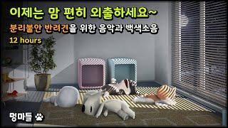 #멍마들  이제는 맘 편히 외출하세요~ 분리불안 반려견을 위한 음악과 백색소음 (12시간) - Dog Separation Anxiety Music and White Noise