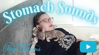 Soothing ASMR Stomach Sounds/Day Nap and Cute Puppy