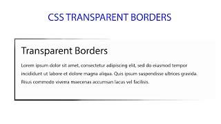 CSS Transparent Borders | CSS Gradient Colors Borders