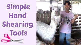 Suri Alpaca Hand Shearing Tools: Simple, Cheap, and Effective