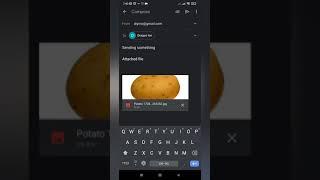 How to send email with attachment - Reddit Potato Server Meme #shorts