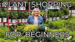 Landscape Gardening for Beginners: Which Shrubs Plants Do I Buy? Tips & Garden Center How To's