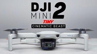 Can the DJI Mini 2 Shoot Cinematic Footage?