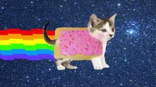 Evolution of Nyan Cat meme from 1980 to 2022