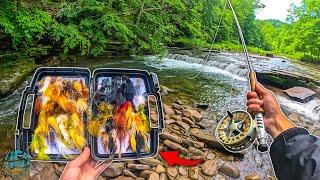 How to Streamer Fish for Trout || Fly Fishing for Beginners!