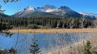 Lifelong Logger and Bigfoot & CN Rail Police Officer experience. I share my own near death with you!