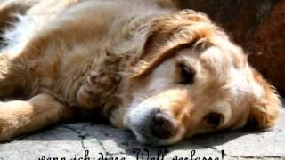 Abschied nehmen- Ein Hund erzählt vom Tod