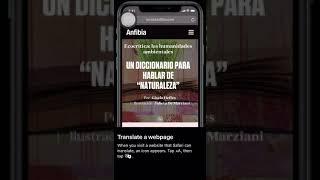 iPhone Hacks - How to Translate Website