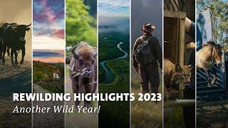 Rewilding Europe 2023 Highlights | End of Year Recap | Another Wild Year!