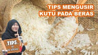 TIPS AMPUH MEMBASMI KUTU BERAS DALAM SEHARI