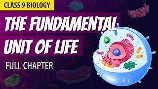 THE FUNDAMENTAL UNIT OF LIFE in 1 Shot | FULL Chapter Animation | Class 9th Biology | NCERT Science