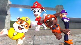 PAW Patrol Play an AMAZING ADVENTURE! | Gmod Fun