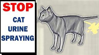 How To Stop Cat Spraying Urine? || In Urdu // Reasons ,Tips & Suggestions || Vet Furqan Younas