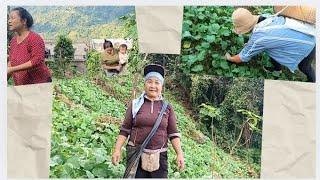 Vawiin chu ka nu antam hmun ka thlawh pui/Kut hnathawktu ka nu (mabeti)️