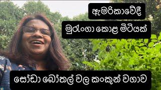 වැඩ ඇරීලා ගෙදර ඇවිත් එළවළු මල්ලක්ම වත්තෙන් කඩා ගත්තා