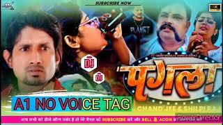 Pagla No Voice Tag |पगला | Mani Meraj No Voice Tag Dj Song| Shilpi Raj | New Dj Sad Song Mix Remix