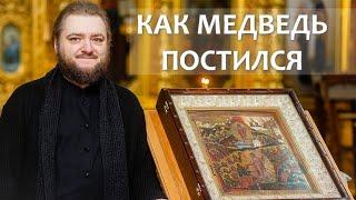 КАК МЕДВЕДЬ ПОСТИЛСЯ. Отец Савва (Мажуко)