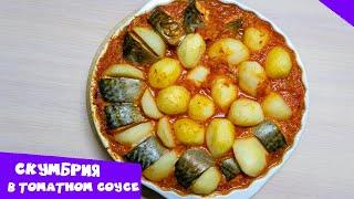 Скумбрия в томатном соусе с картошкой | Вкусное и простое блюдо на ужин