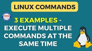 Linux Tutorial: Execute Multiple Commands in Linux