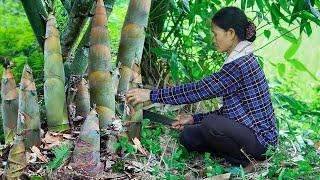 Thu hoạch măng làm món vịt nấu măng chua, bữa cơm ngon cùng mẹ I Ẩm Thực Mẹ Làm