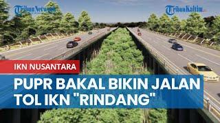 Menteri PUPR Bakal Bikin Jalan Tol IKN Nusantara "Rindang"