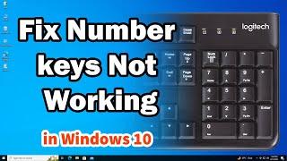 How to Fix Number Keys Not Working In Windows 10 PC or Laptop