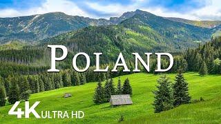 FLYING OVER POLAND 4K UHD - Relaxing Music With Beautiful Nature Scenes - 4K Video ULTRA HD