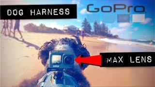 GoPro Max Lens Mod  DOG POV Harness