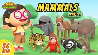 Mammals Minisode Compilation (Part 1/5) - Leo the Wildlife Ranger | Animation | For Kids