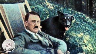 Hitler's Dogs...