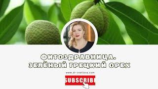 Целебные свойства зеленого грецкого ореха. Рецептура настоек, масла и отваров.