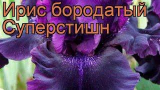 Ирис бородатый Суперстишн (iris)  ирис Суперстишн обзор: как сажать саженцы ириса Суперстишн