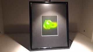 Framed Microscope Hologram (New)