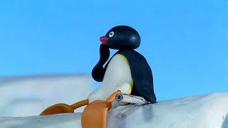 Pingu English New Episodes #6